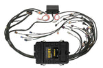 Elite 2500 + GM GEN III LS1 & LS6 (DBW Retrofit Ready) Terminated Harness Kit